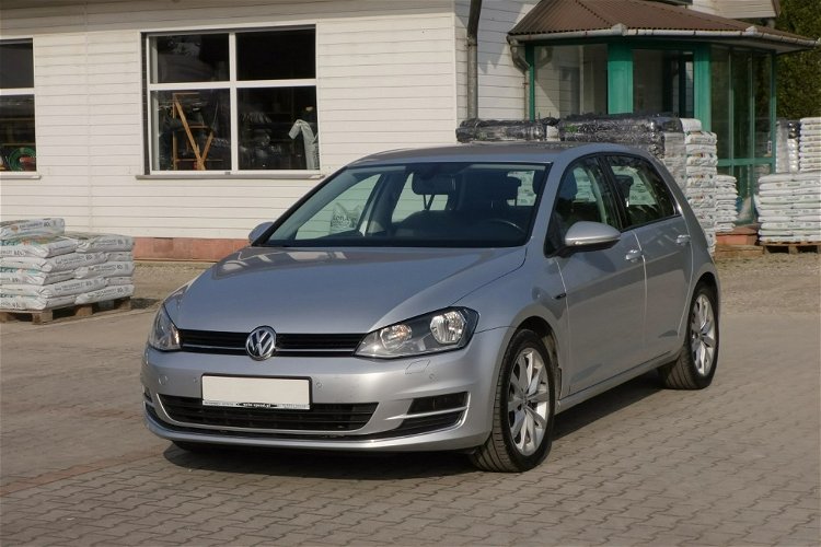 Volkswagen Golf 4 Motion Navi Klima 4 x 4 zdjęcie 2