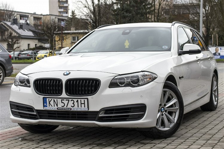 BMW 520 2.0_Diesel_190KM_236 tyś. km_FV23%_zarejestrowany zdjęcie 1