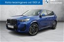 BMW iX1 Salon Polska/Gwarancja/Pakiety serwisowe/M-Pakiet/Harman Kardon zdjęcie 1