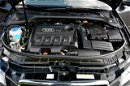 Audi A3 2.0TDI(140KM) Lift bi-Xenon Ledy Parktronic do końca serwis zdjęcie 35