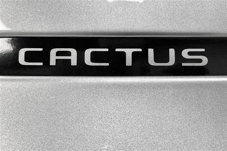 Citroen C4 Cactus 1.2 e-THP SHINE Lifting ALU Black Pak relingi Navi Kolor Led Z Niemiec zdjęcie 11