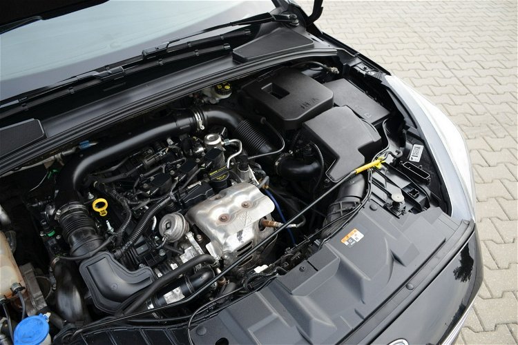 Ford Focus Czarny Zarejestrowany 1.0i 125KM Serwis Navi As.Parkowania START/STOP zdjęcie 7