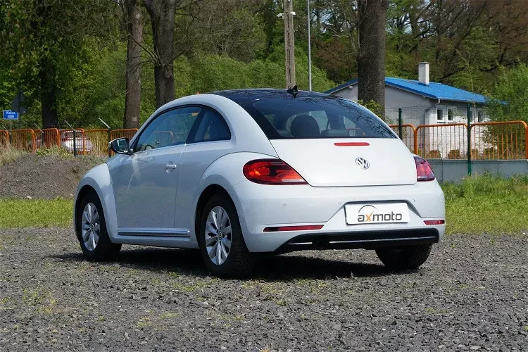 Volkswagen beetle zdjęcie 4