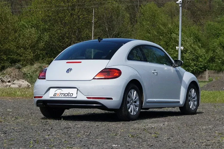 Volkswagen beetle zdjęcie 6