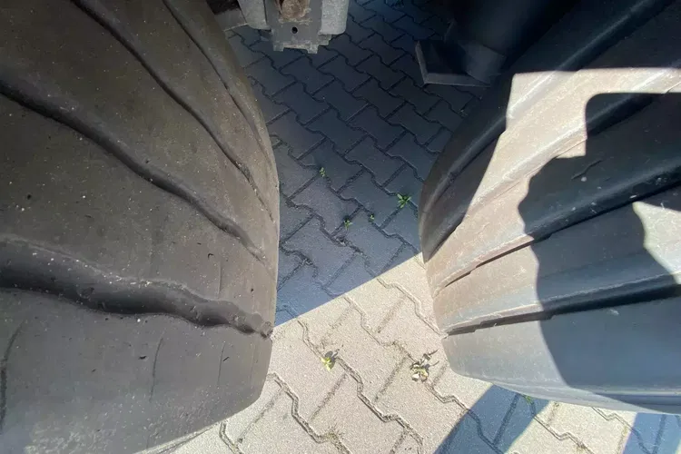 Schmitz SKO Multitemperatura zdjęcie 14