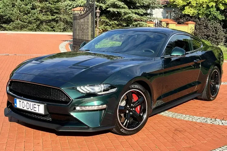 Ford mustang zdjęcie 1