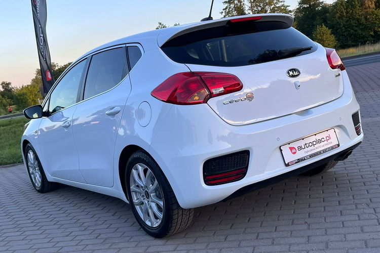 Kia Cee'd Lifting Gwarancja Dream Team Edition zdjęcie 4