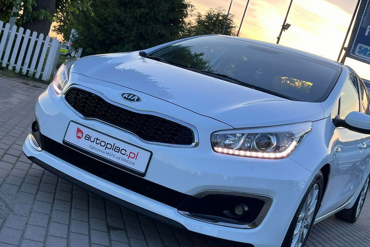 Kia Cee'd Lifting Gwarancja Dream Team Edition zdjęcie 7