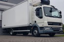 DAF LF 45.180 WINDA CHŁODNIA 15EP 6.20x2.45x2.19 AGREGAT CARRIER KLIMA DMC 11.990 KG zdjęcie 30