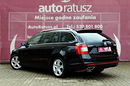Skoda Octavia Rezerwacja - 100% org. lakier VRS - 230KM zdjęcie 4