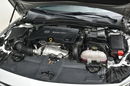 Opel Insignia 2.0CDTi 170KM Manual 2017r. FullLED Kamera 2xPDC Climatronic el. klapa zdjęcie 35