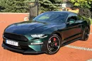 Ford mustang zdjęcie 1
