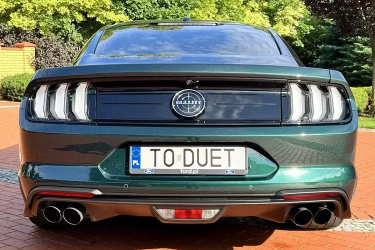 Ford mustang zdjęcie 18