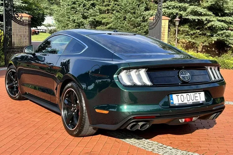 Ford mustang zdjęcie 19