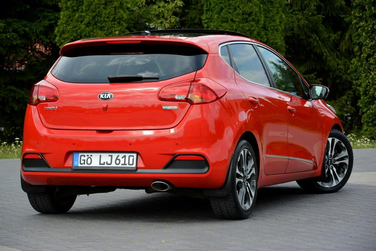 Cee'd Ledy Bixenon Panorama Skóry Navi Kamera 2xParkr. ASO KIA zdjęcie 13