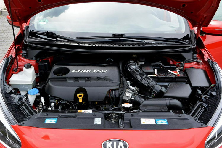 Cee'd Ledy Bixenon Panorama Skóry Navi Kamera 2xParkr. ASO KIA zdjęcie 37