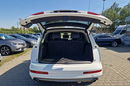 Q7 Audi Q7 Bezwypadkowy KlimatyzowaneFotele Czuj.MartwegoPola Panorama zdjęcie 7