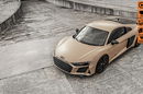 R8 AUDI R8 BEIGE 222PCS DECENNIUM EVOCLUB PROJECT zdjęcie 1