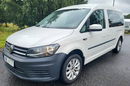 Volkswagen Caddy Maxi Life 7 osobowy 2.0 TDI BlueMotion DSG , 102KM zdjęcie 2