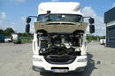 DAF LF 320 Kontener Euro 6 Przebieg Udokumentowany Klima , Blokada Mostu , 21 Euro Palet , Winda , Poduszki , Tempomat zdjęcie 22