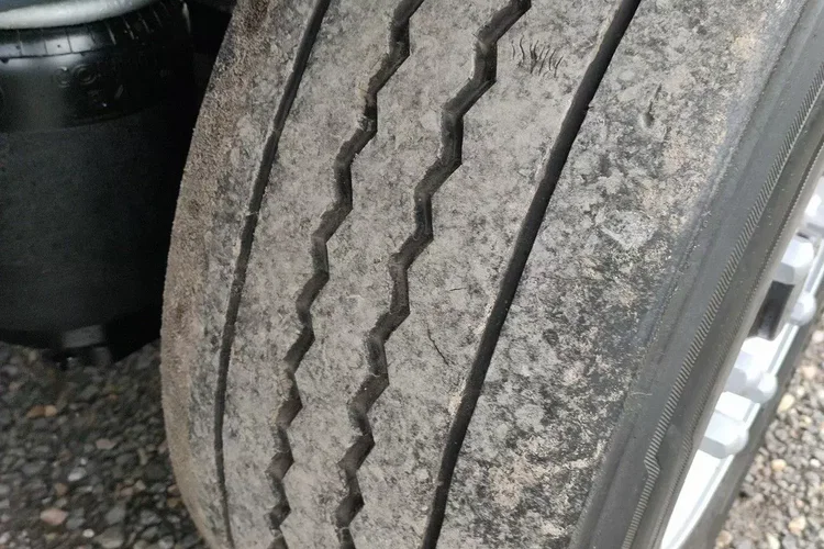 Wielton NS3F Kontener Tył Drzwi Izoterma Chłodnia bez Agregatu Koffer zdjęcie 15