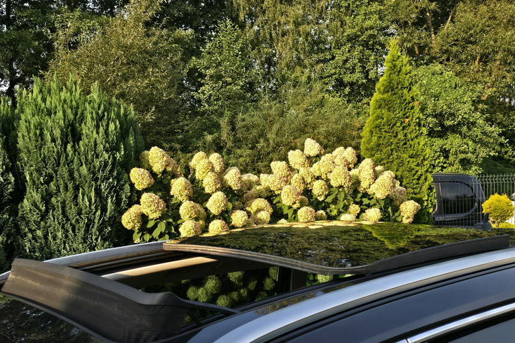 Volkswagen Passat 2.0 TDi 150KM DSG Highline / Panorama / Kamery 360 / I-właściciel zdjęcie 30