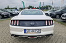 Mustang Ford Mustang PolskiSalon KlimatyzowaneFotele Stan Wzorowy zdjęcie 7