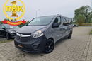 Vivaro Opel Vivaro Drzwi z obu stron Po serwisie Navi Bluetooth Gwarancja zdjęcie 1