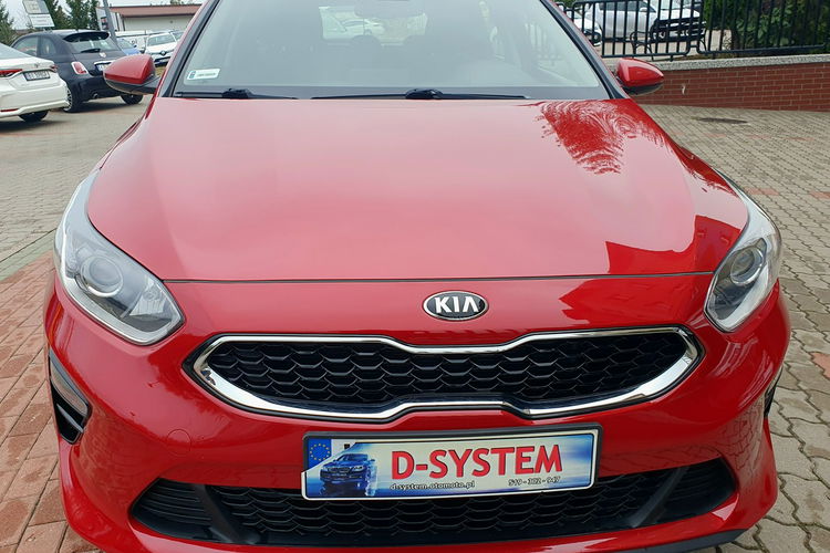 Kia Cee'd 2019 Tylko Salon Polska 1Właściciel GWARANCJA serwis ASO zdjęcie 3