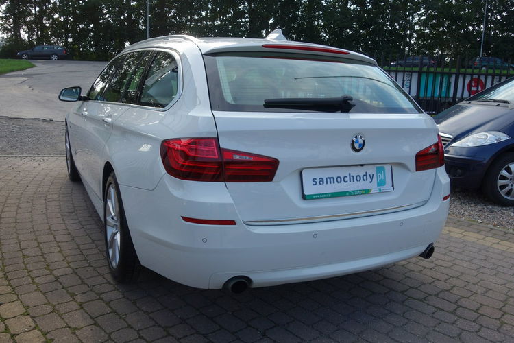 535 BMW F11 535d 313km 2016 bezwypadkowy dobrze wyposażony Luxury zdjęcie 5