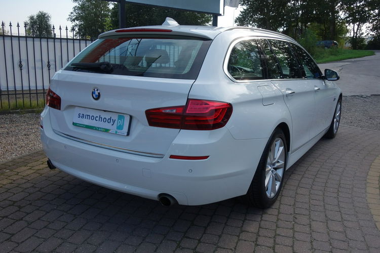 535 BMW F11 535d 313km 2016 bezwypadkowy dobrze wyposażony Luxury zdjęcie 6