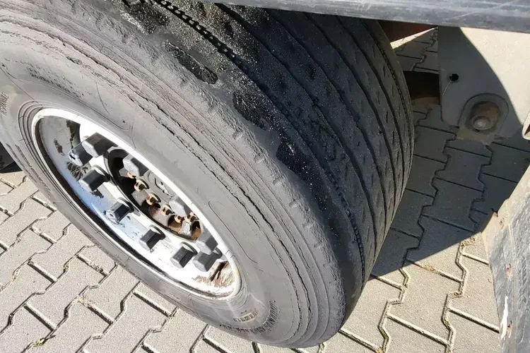 Schmitz - zdjęcie 16