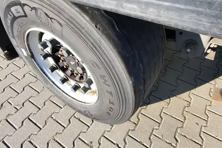 Schmitz - zdjęcie 17