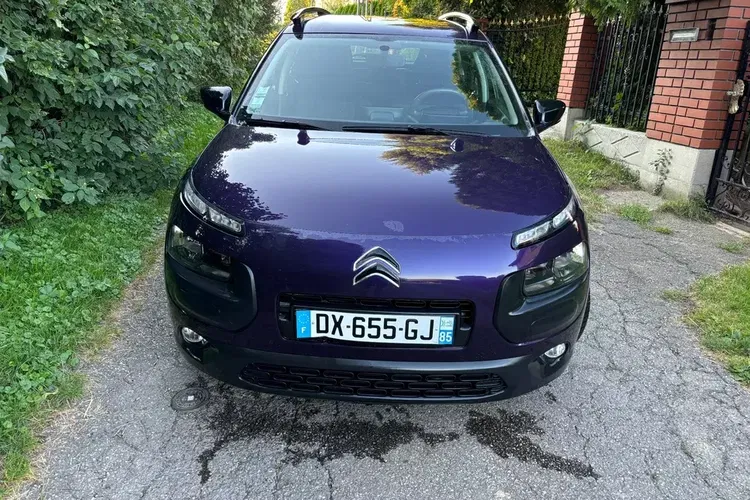 Citroen C4 Cactus zdjęcie 2