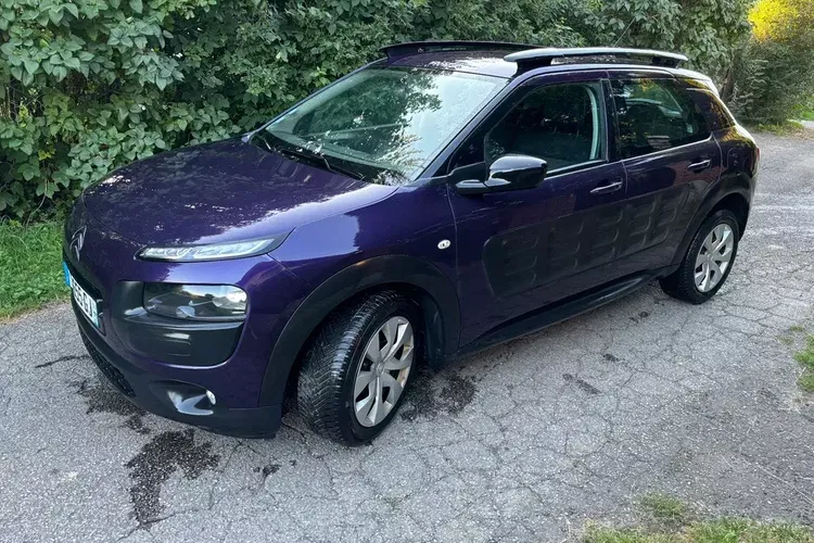 Citroen C4 Cactus zdjęcie 4
