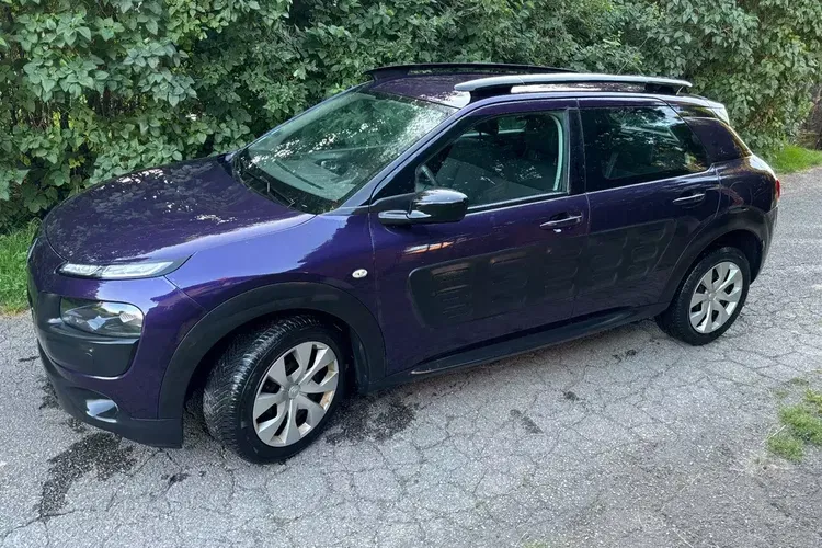 Citroen C4 Cactus zdjęcie 5