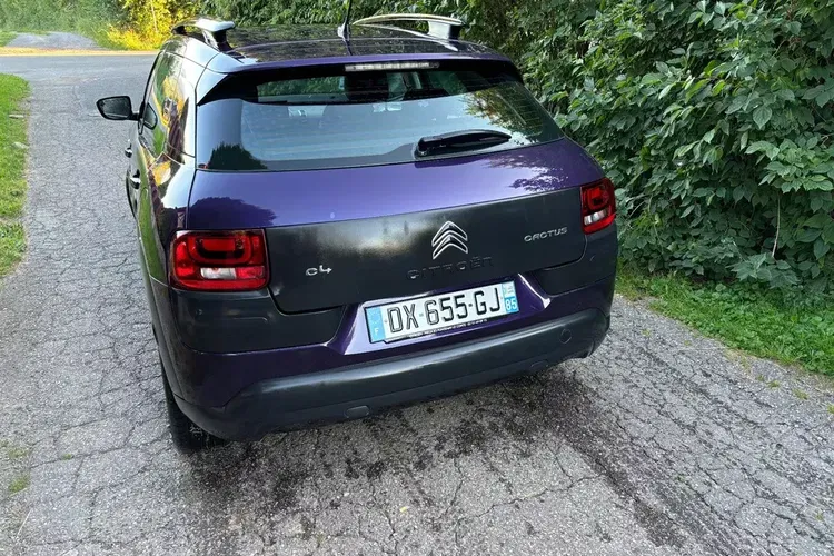 Citroen C4 Cactus zdjęcie 8
