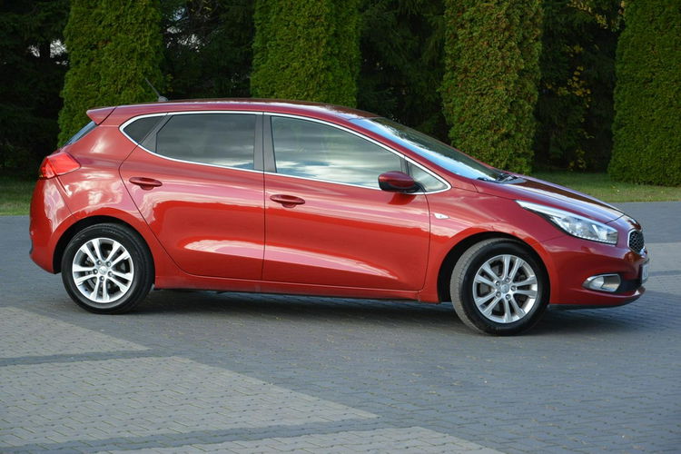 Cee'd 1.4(100KM) Ledy 129 tys przebiegu Klimatronic Parktronic Serwis Kia zdjęcie 4