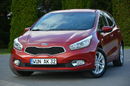 Cee'd 1.4(100KM) Ledy 129 tys przebiegu Klimatronic Parktronic Serwis Kia zdjęcie 7