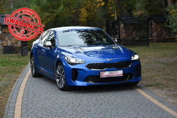 Kia Stinger GT-line 2.0T 245KM 2019r. PL SALON HeadUp ACC Kamera360 FullLED wentyl