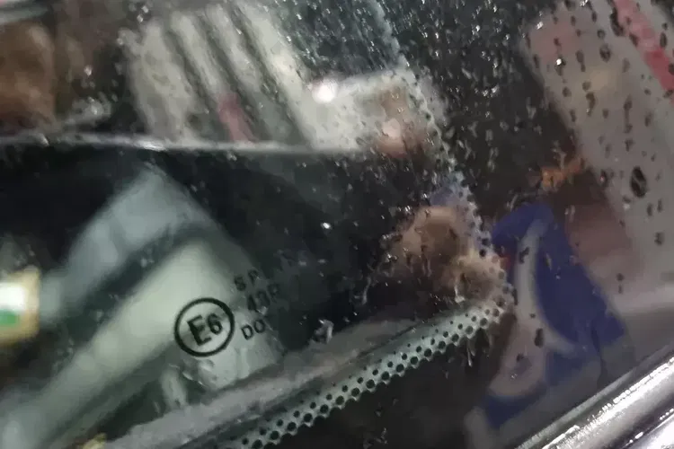 BMW Seria 3 zdjęcie 12