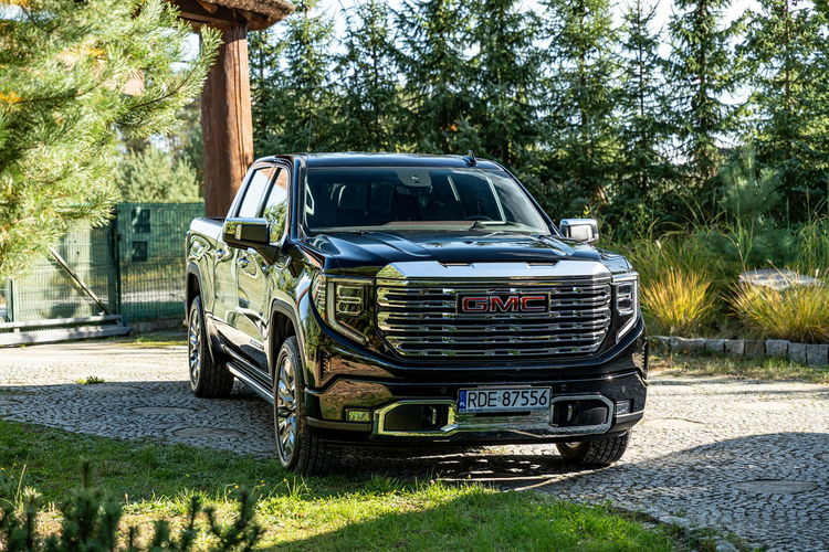 Sierra 1500 4Wd Short Box Denali zdjęcie 31