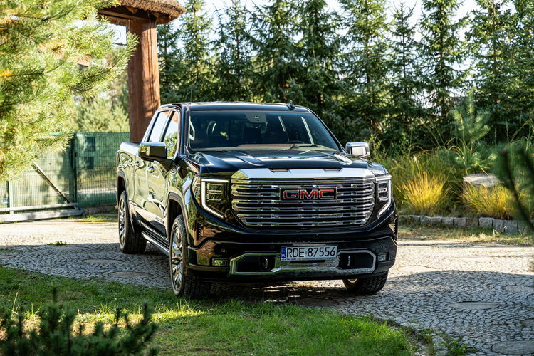 Sierra 1500 4Wd Short Box Denali zdjęcie 33