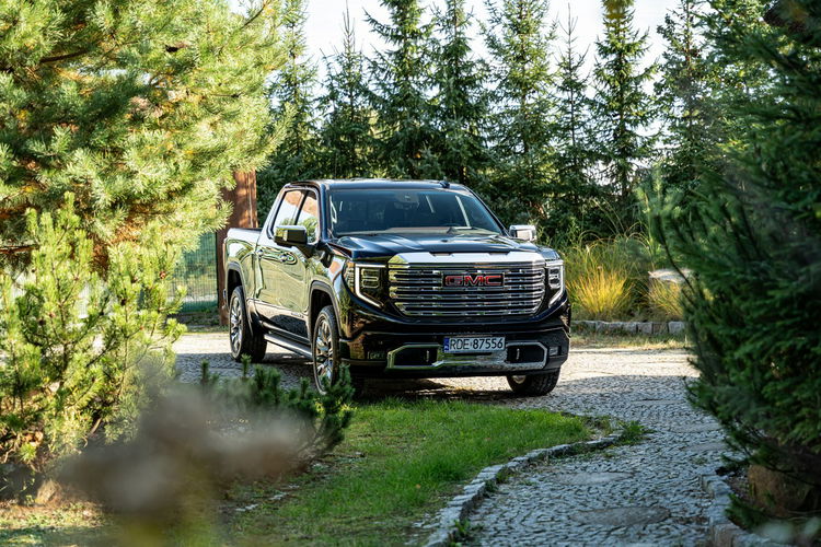 Sierra 1500 4Wd Short Box Denali zdjęcie 34