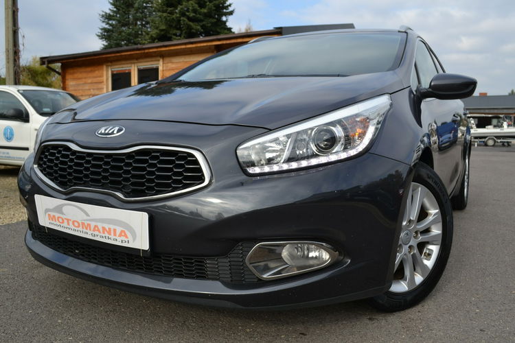 Kia Cee'd 1.6 135KM Podgrz. Kierownica, Fotele Harman/Kardon LED Alufelgi zdjęcie 3