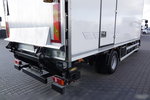 Renault / D 250 / CHŁODNIA - 6.7 m / THERMO KING T 600R / + WINDA ZAŁADOWCZA PALFINGER / 2021 / zdjęcie 15