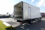 Renault / D 250 / CHŁODNIA - 6.7 m / THERMO KING T 600R / + WINDA ZAŁADOWCZA PALFINGER / 2021 / zdjęcie 18