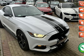 Ford Mustang 3.7v6 + gaz automat ledy xenon wydech bardzo zadbany doinwestowany gwa