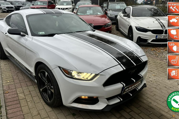 Ford Mustang 3.7v6 + gaz automat ledy xenon wydech bardzo zadbany doinwestowany gwa zdjęcie 1