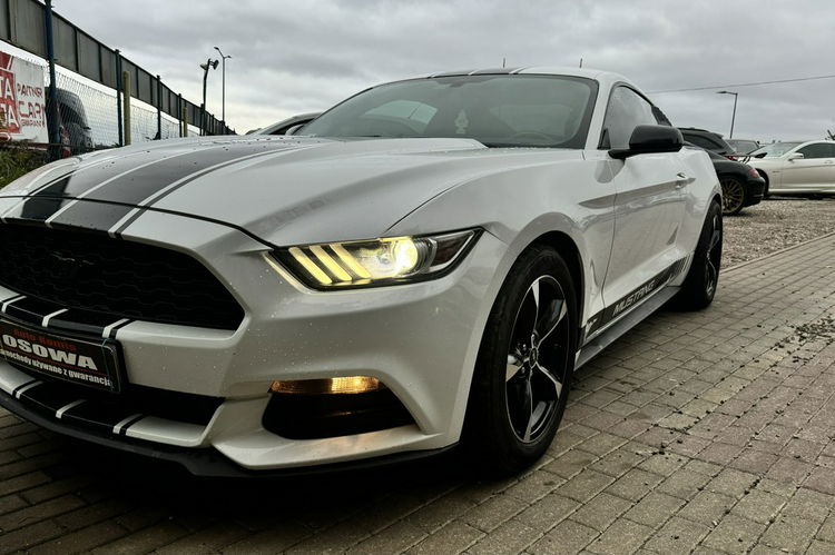 Ford Mustang 3.7v6 + gaz automat ledy xenon wydech bardzo zadbany doinwestowany gwa zdjęcie 2